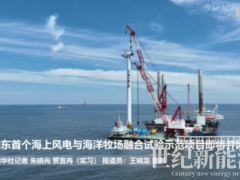 山東首個(gè)海上風(fēng)電與海洋牧場(chǎng)融合試驗(yàn)項(xiàng)目全部風(fēng)機(jī)吊裝完成 即將并網(wǎng)!