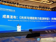 國(guó)際可再生能源署發(fā)布其全球首份儲(chǔ)能專(zhuān)題報(bào)告完整版 寧德時(shí)代深度參與