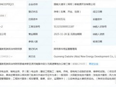 國家能源集團成立控股新能源公司